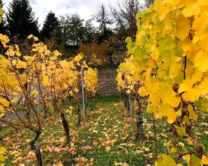 Urbani Häcker Weingut